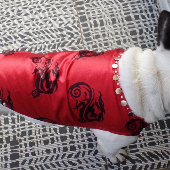 Dragon boy dog clothes nwot! - Picture 6 of 6
